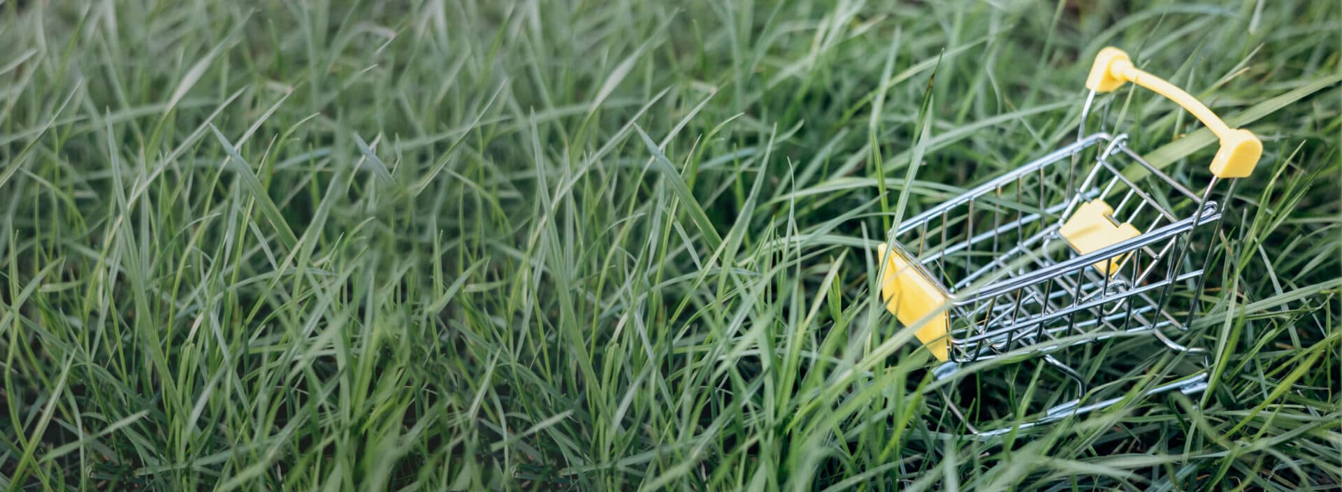 Sustainable consumption. Empty shopping cart on green grass background. Zero waste concept. Copy space.